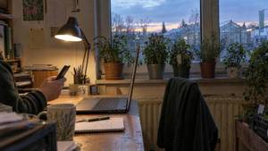 Büro einer Gärtnerei am Abend mit Schreibtischlampe, Laptop und einer Hand, die ein Handy hält